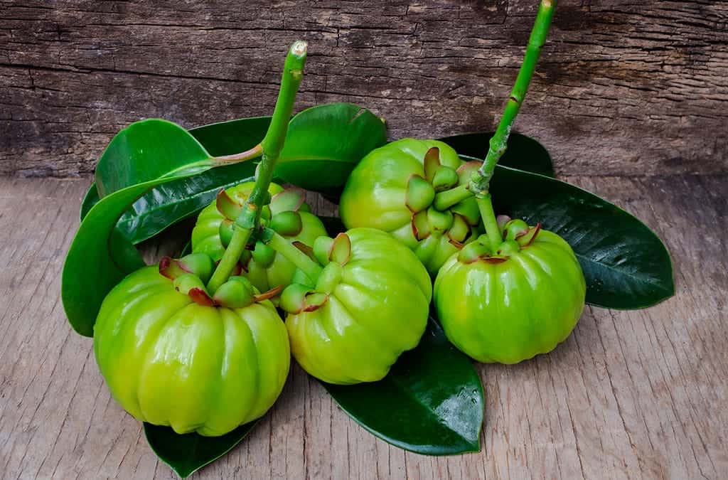 Pure Garcinia Cambogia Extract