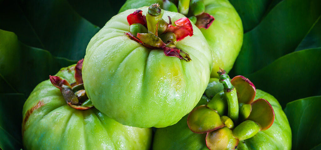 Garcinia Cambogia Extract Weight Loss