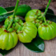 Pure Garcinia Cambogia Extract