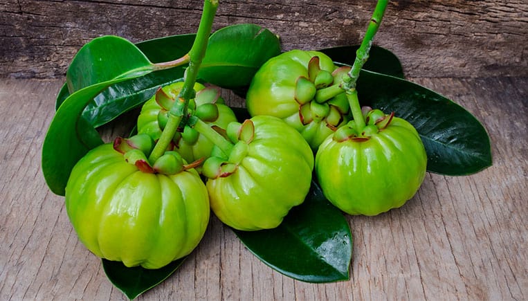 Pure Garcinia Cambogia Extract