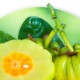 Maximizing Garcinia Cambogia Extract