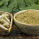 Moringa Oleifera's health benefits