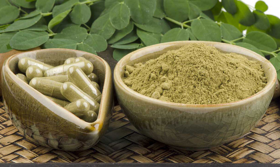 Moringa Oleifera's health benefits