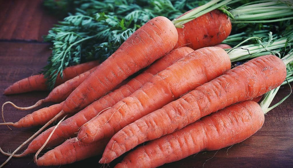 close up photography of orange carrots