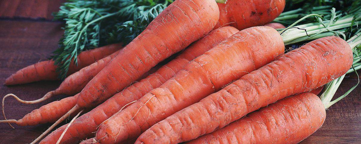 close up photography of orange carrots