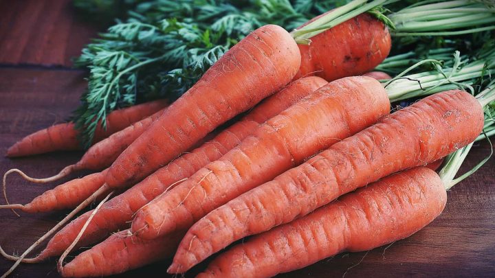 close up photography of orange carrots