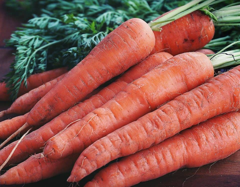 close up photography of orange carrots